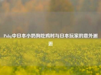 Pubg中日本小奶狗吃鸡时与日本玩家的意外邂逅