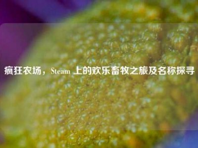 疯狂农场，Steam 上的欢乐畜牧之旅及名称探寻
