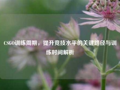 CSGO训练周期，提升竞技水平的关键路径与训练时间解析