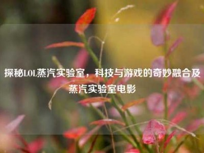 探秘LOL蒸汽实验室，科技与游戏的奇妙融合及蒸汽实验室电影