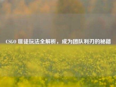 CSGO 匪徒玩法全解析，成为团队利刃的秘籍