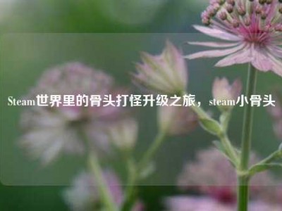 Steam世界里的骨头打怪升级之旅，steam小骨头