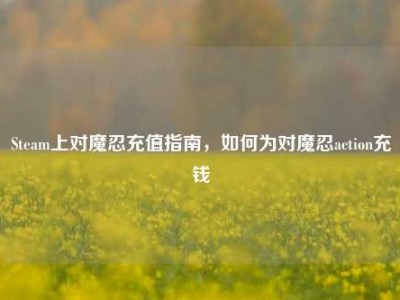 Steam上对魔忍充值指南，如何为对魔忍action充钱