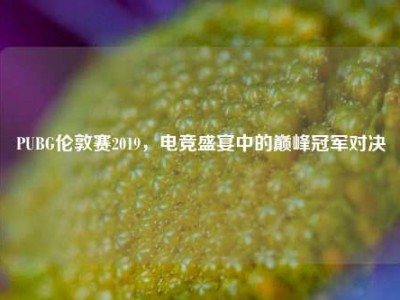 PUBG伦敦赛2019，电竞盛宴中的巅峰冠军对决