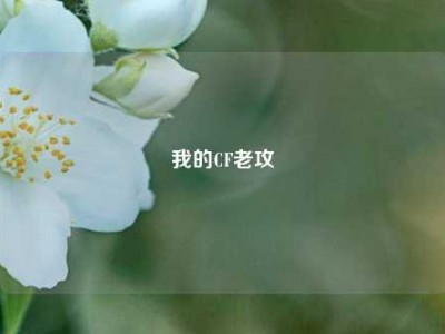 我的CF老攻