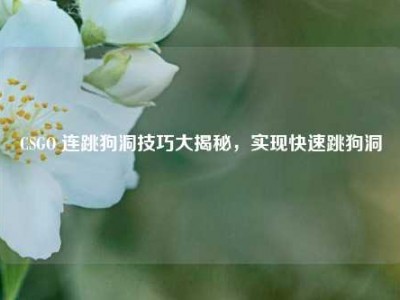 CSGO 连跳狗洞技巧大揭秘，实现快速跳狗洞