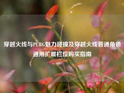 穿越火线与PUBG魅力碰撞及穿越火线普通角色通用扩展栏位购买指南