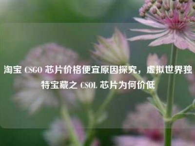       CSGO 芯片价格便宜原因探究，虚拟世界独特宝藏之 CSOL 芯片为何价低