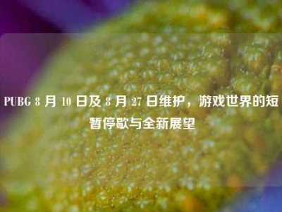 PUBG 8 月 10 日及 8 月 27 日维护，游戏世界的短暂停歇与全新展望