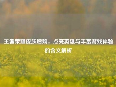 王者荣耀皮肤增购，点亮英雄与丰富游戏体验的含义解析
