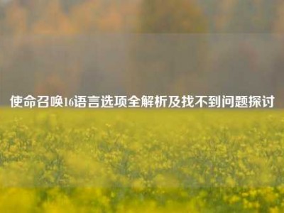使命召唤16语言选项全解析及找不到问题探讨