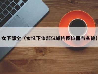 女下部全（女性下体部位结构图位置与名称）