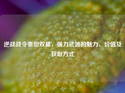 逆战战令泰坦双星，强力武器的魅力、价值及获取方式