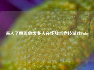 深入了解现象级多人在线战术竞技游戏Pubg