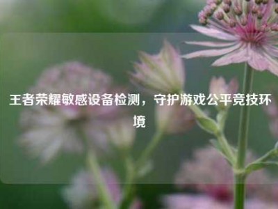 王者荣耀敏感设备检测，守护游戏公平竞技环境