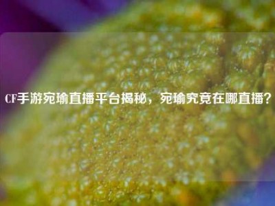 CF手游宛瑜直播平台揭秘，宛瑜究竟在哪直播？