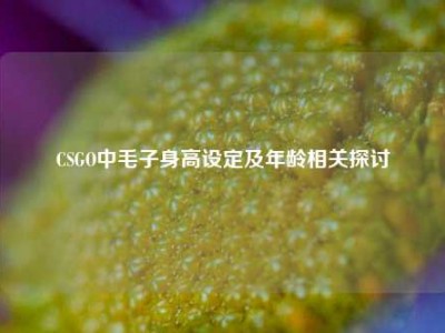 CSGO中毛子身高设定及年龄相关探讨