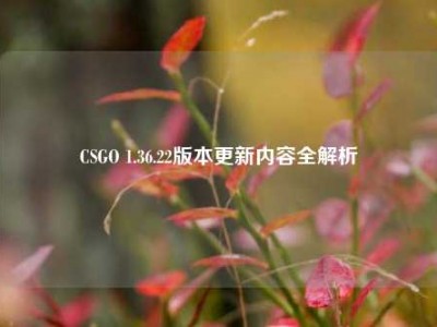 CSGO 1.36.22版本更新内容全解析