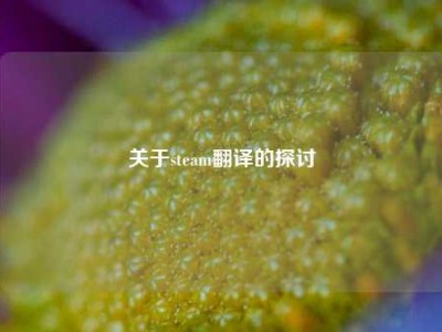 关于steam翻译的探讨