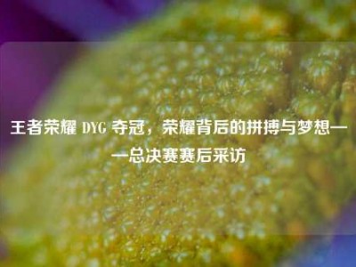 王者荣耀 DYG 夺冠，荣耀背后的拼搏与梦想——总决赛赛后采访