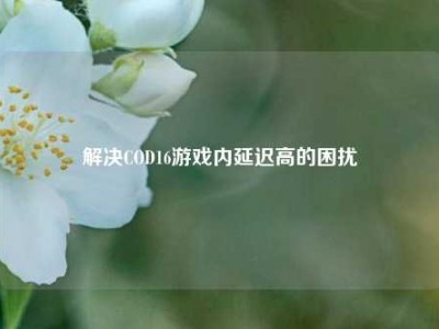 解决COD16游戏内延迟高的困扰