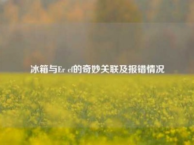 冰箱与Er cf的奇妙关联及报错情况