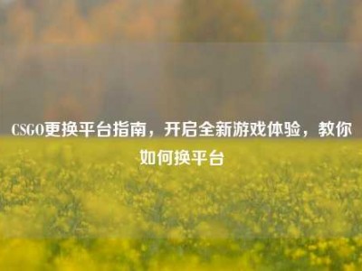 CSGO更换平台指南，开启全新游戏体验，教你如何换平台