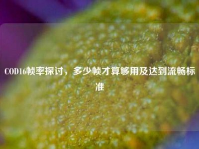 COD16帧率探讨，多少帧才算够用及达到流畅标准