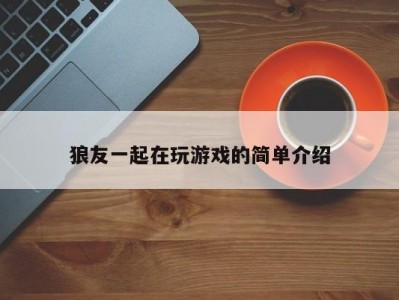 狼友一起在玩游戏的简单介绍