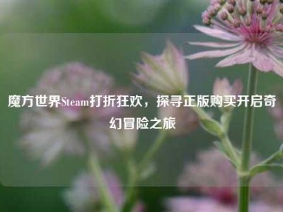 魔方世界Steam打折狂欢，探寻正版购买开启奇幻冒险之旅