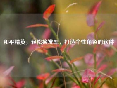 和平精英，轻松换发型，打造个性角色的软件