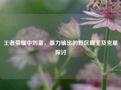王者荣耀中刘备，暴力输出的野区霸主及克星探讨