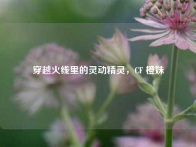 穿越火线里的灵动精灵，CF 橙妹