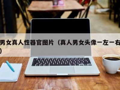 男女真人性器官图片（真人男女头像一左一右）