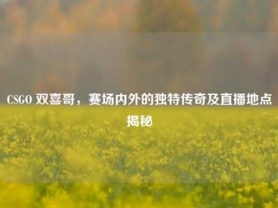 CSGO 双喜哥，赛场内外的独特传奇及直播地点揭秘