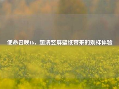 使命召唤16，超清竖屏壁纸带来的别样体验