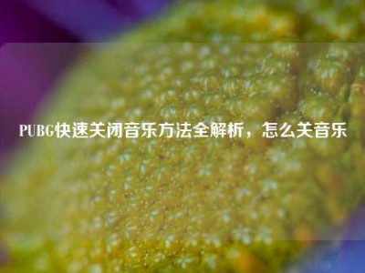 PUBG快速关闭音乐方法全解析，怎么关音乐