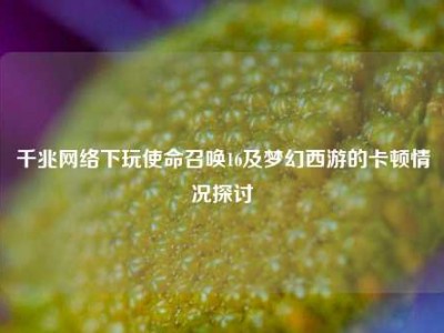 千兆     下玩使命召唤16及梦幻西游的卡顿情况探讨