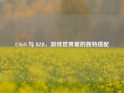 CSGO 与 BZR，游戏世界里的独特搭配