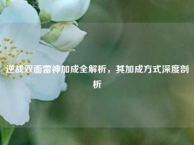 逆战双面雷神加成全解析，其加成方式深度剖析