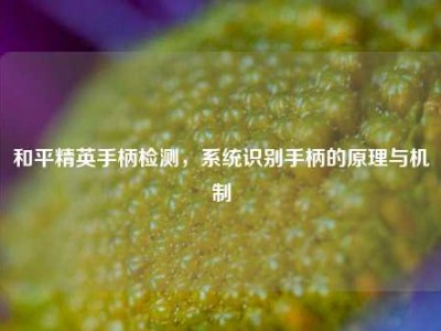 和平精英手柄检测，系统识别手柄的原理与机制