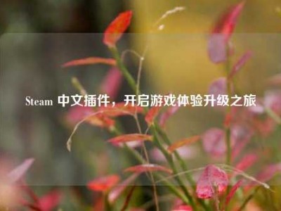 Steam 中文插件，开启游戏体验升级之旅