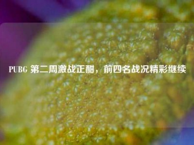 PUBG 第二周激战正酣，前四名战况精彩继续