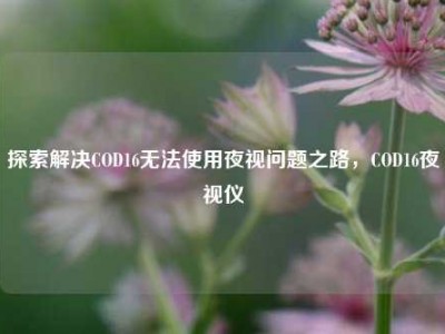 探索解决COD16无法使用夜视问题之路，COD16夜视仪