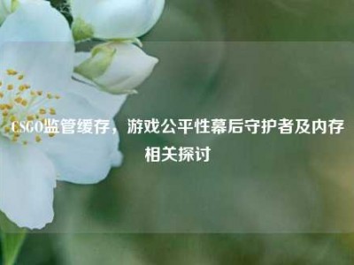 CSGO监管缓存，游戏公平性幕后守护者及内存相关探讨