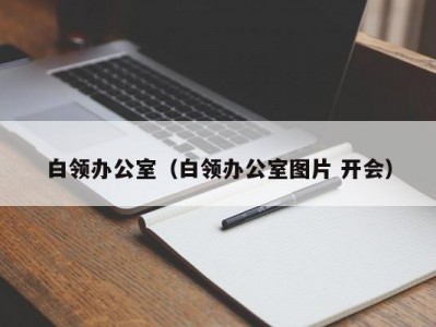 白领办公室（白领办公室图片 开会）