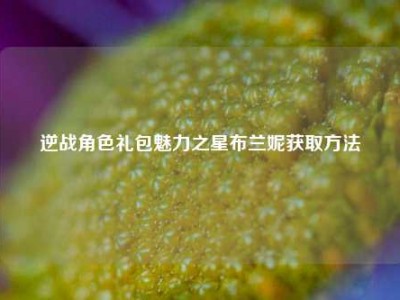 逆战角色礼包魅力之星布兰妮获取     