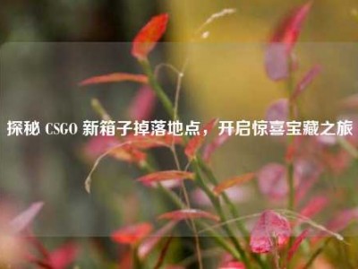 探秘 CSGO 新箱子掉落地点，开启惊喜宝藏之旅
