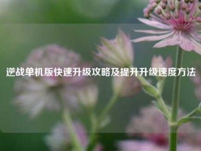 逆战单机版快速升级攻略及提升升级速度方法