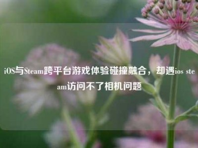 iOS与Steam跨平台游戏体验碰撞融合，却遇ios steam访问不了相机问题